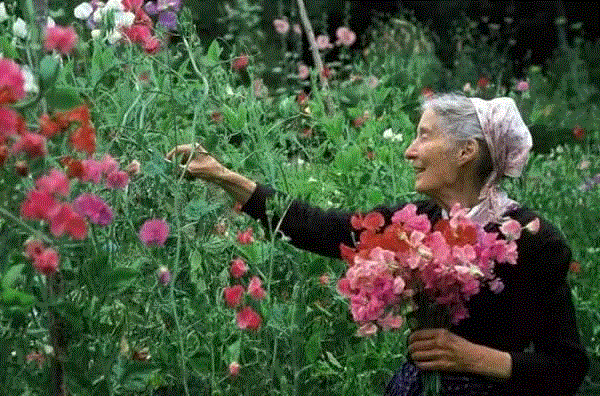 一个女人最高级的性感