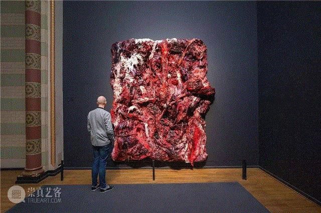 安尼施·卡普尔(anish kapoor)：血与肉