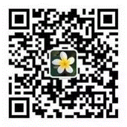 分享｜川久保玲设计的家具长什么样？