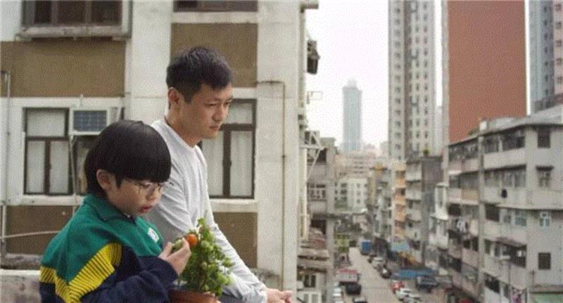 除了《树大招风》,去年的香港电影还有这匹黑马
