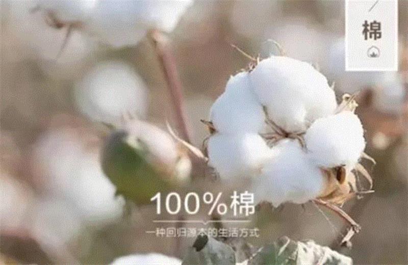 这一次，我只想认认真真滚床单！