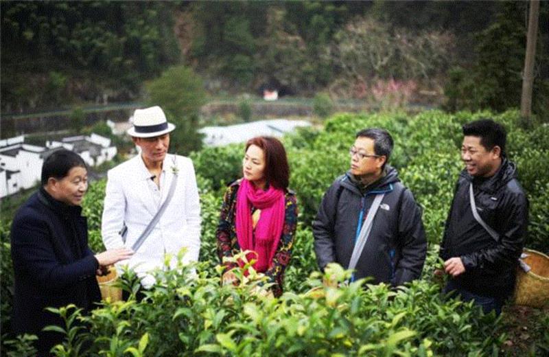 给范冰冰做龙袍的那双手去炒茶了！