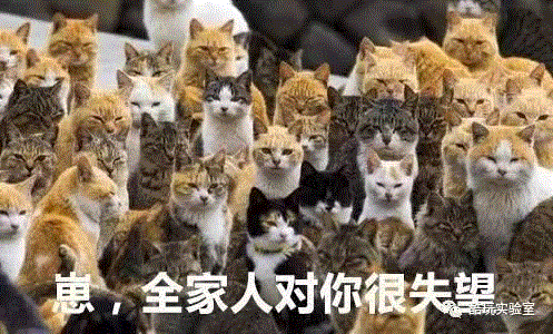 外国人数学到底有多差？！能救他们的只有中国人！