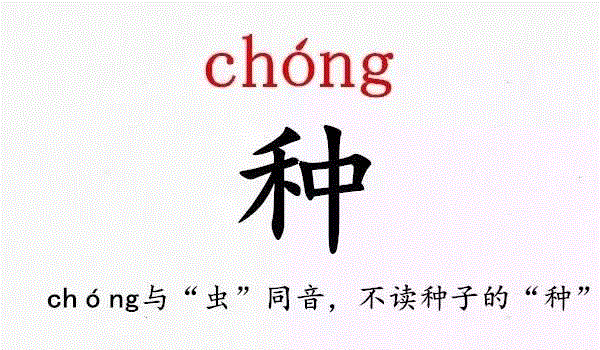 你叫什么名字？