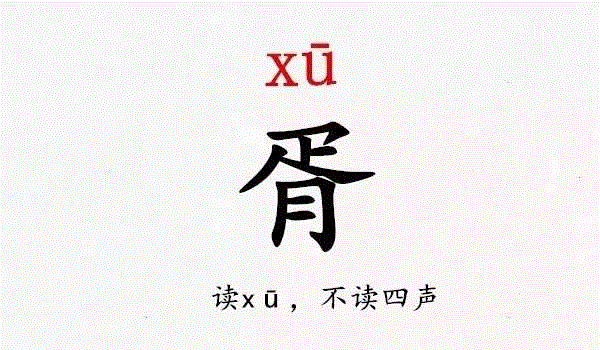你叫什么名字？