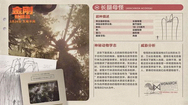 谁说只有爱上女人的才是好金刚？
