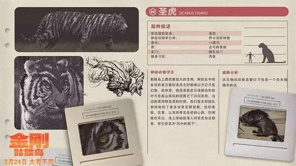 谁说只有爱上女人的才是好金刚？