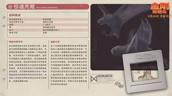 谁说只有爱上女人的才是好金刚？