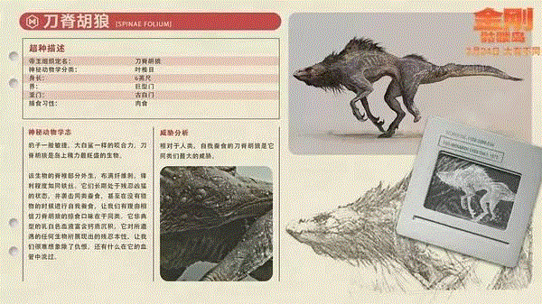 谁说只有爱上女人的才是好金刚？