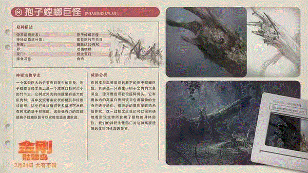 谁说只有爱上女人的才是好金刚？