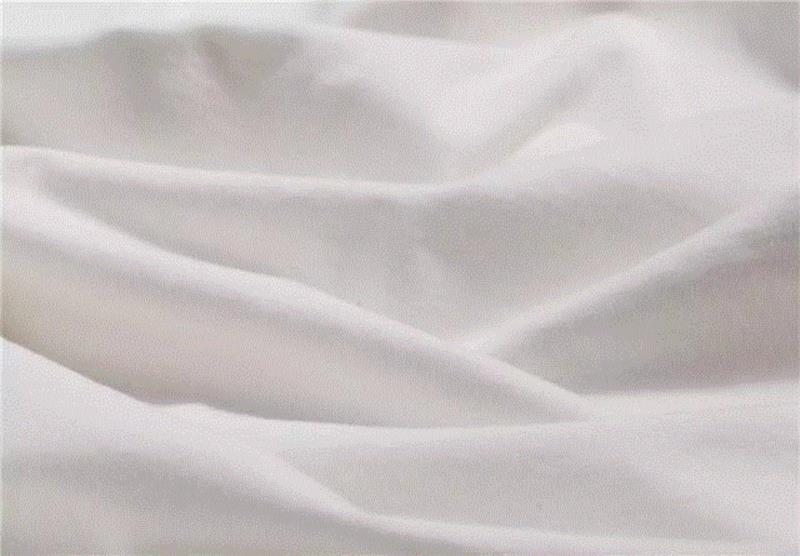 猫王、马龙·白兰度、肯尼迪都穿的好质感白TEE