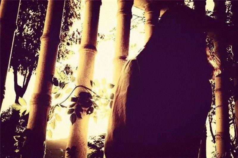 专辑 ▎李志赵雷歌曲热评不仅刷爆地铁,也让内心柔软的人红了眼眶