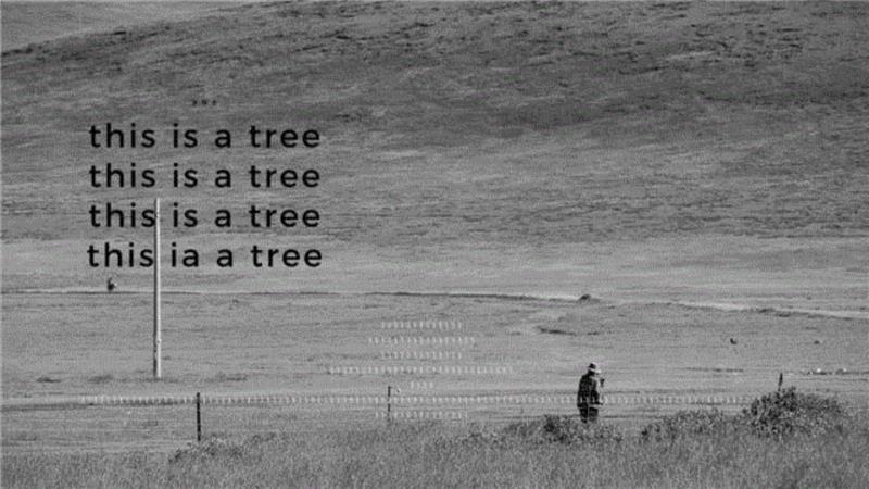 聚场辑录 | 林国仁、张盈：作为时尚的摄影与作为摄影的绘画