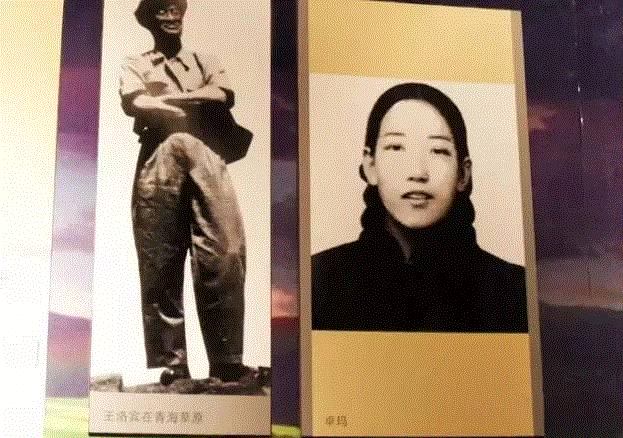 专辑 ▎王洛宾：蹲3次监狱，失15年自由，写下足以传唱500年的情歌