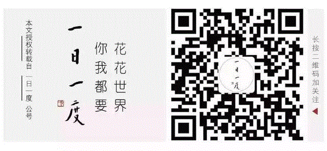 专辑 ▎王洛宾：蹲3次监狱，失15年自由，写下足以传唱500年的情歌