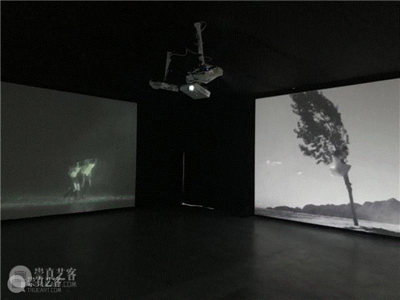 McaM上海明当代美术馆丨后感性：恐惧与意志,Yann Marussich,蒋志,李海光,刘韡,禽兽公园,邱志杰,上海明当代美术馆,扬·马鲁斯西,杨福东,张云峰