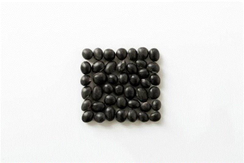 雨前龙井、糯米香乌龙，光想想就觉得好喝