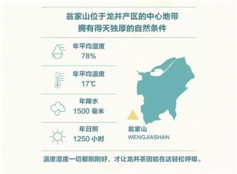 雨前龙井、糯米香乌龙，光想想就觉得好喝