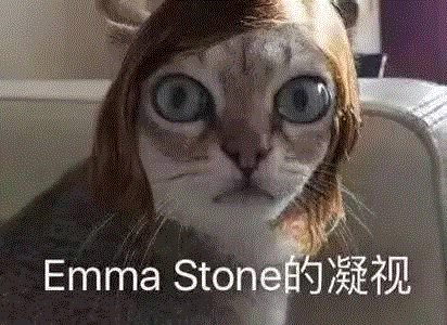 敲黑板!划重点!进剧院前必须先做功课的演出!