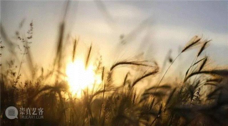 异乡人，看过了多少海市蜃楼，让我回到小小的门口