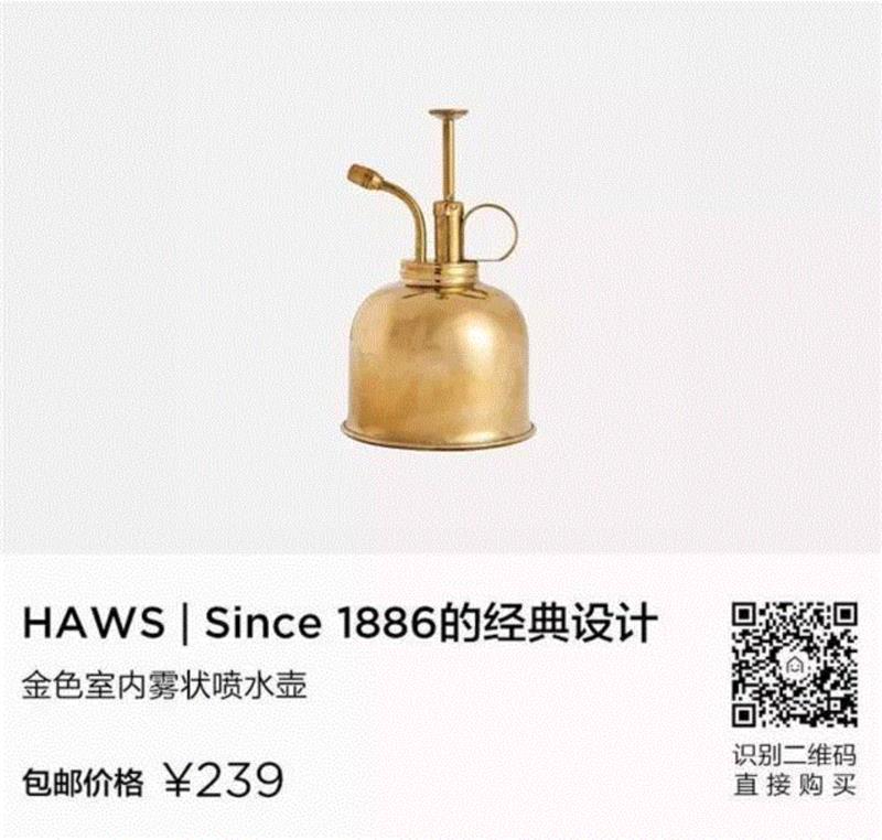打造治愈系家居空间，植物总能给你无限灵感