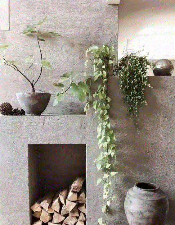 打造治愈系家居空间，植物总能给你无限灵感