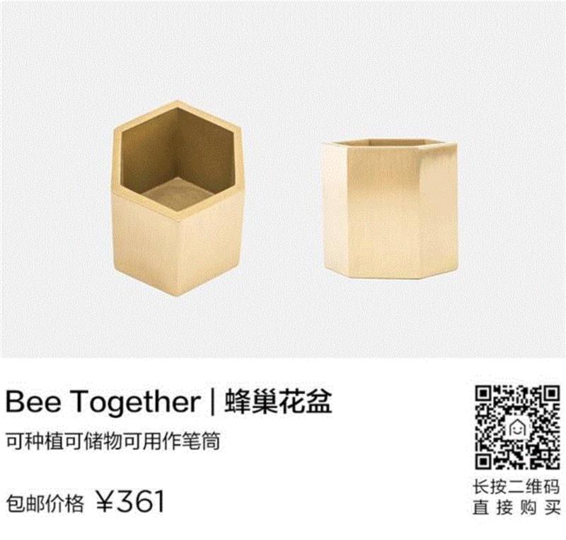 打造治愈系家居空间，植物总能给你无限灵感