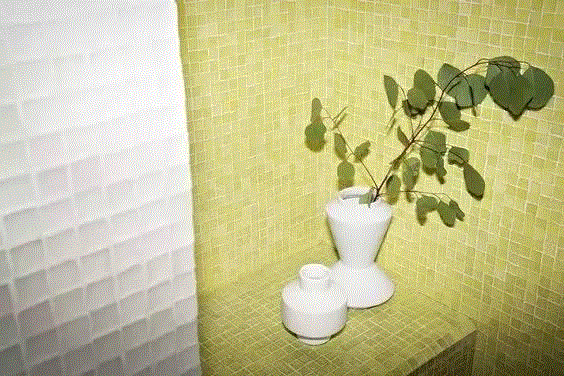 打造治愈系家居空间，植物总能给你无限灵感
