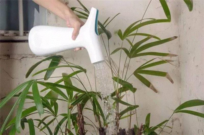 打造治愈系家居空间，植物总能给你无限灵感