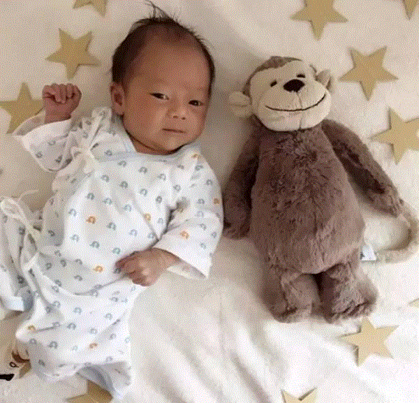 星二代人手一只的毛绒玩偶，柔软得想一辈子抱着它