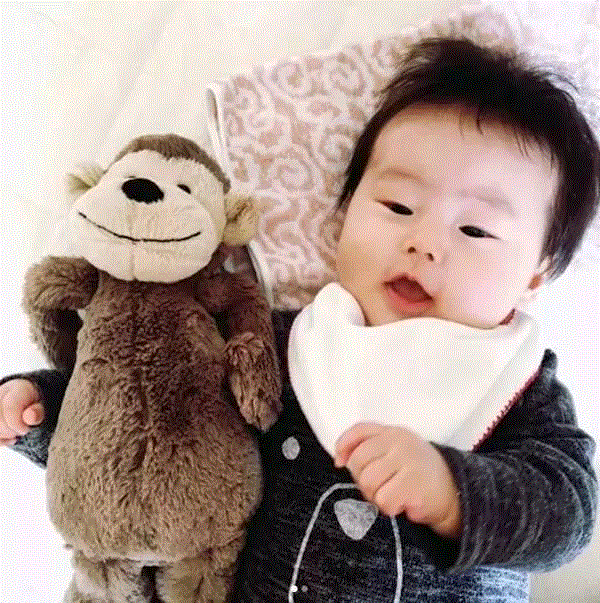 星二代人手一只的毛绒玩偶，柔软得想一辈子抱着它