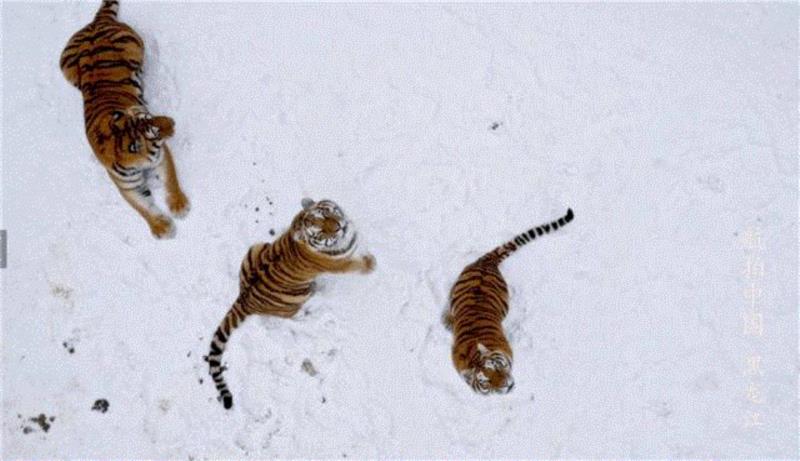 这部9.4分的纪录片，让我们看到最美的中国