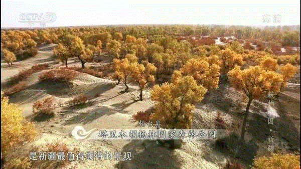 这部9.4分的纪录片，让我们看到最美的中国