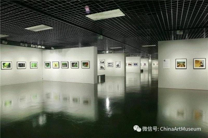 展期还剩五天！上海国际摄影节暨上海第十三届国际摄影艺术展览今日开幕