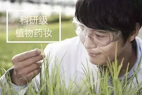 它不和雪花膏比情怀，这个走心的植物药妆，悄悄火了……