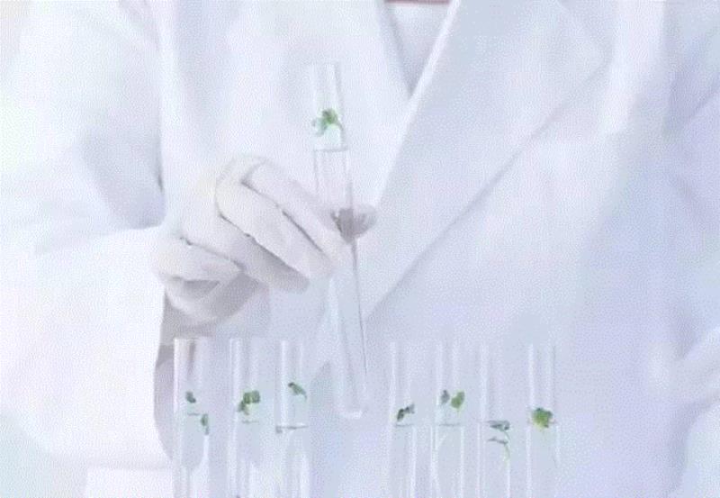 它不和雪花膏比情怀，这个走心的植物药妆，悄悄火了……