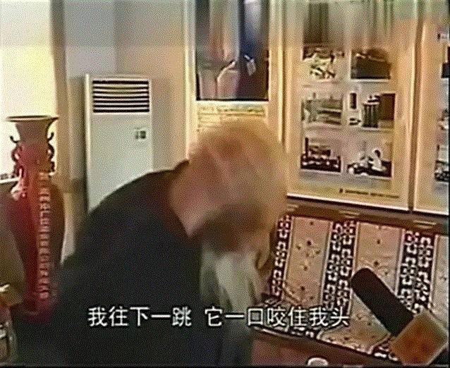 徒手抓豹230多只，擒虎7只，捉野牛9头！
