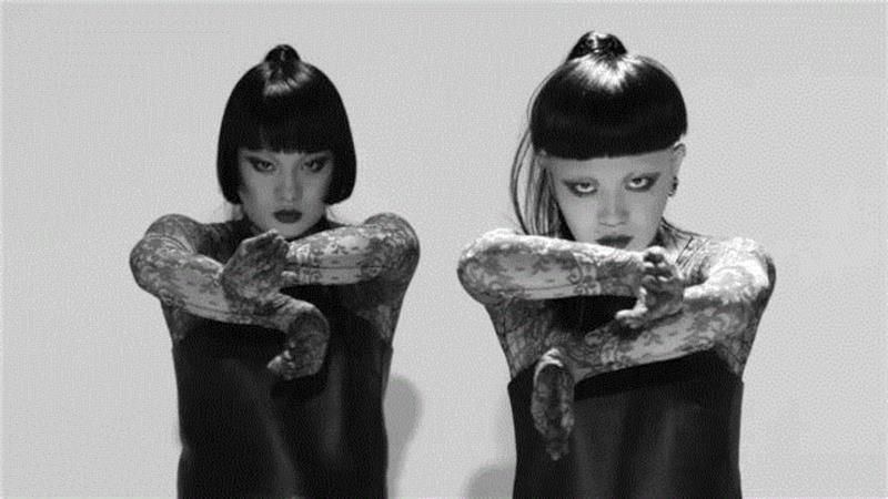 打败了蔡康永,关注度排行第一的这对日本女同性恋,看完你不弯算我输!