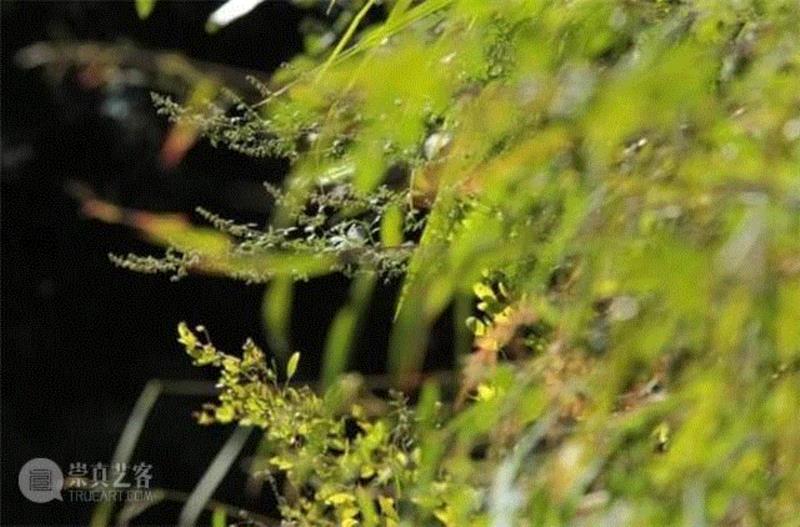 你如山间清爽的风,如古城温暖的光,从清晨到夜晚,由山野到书房