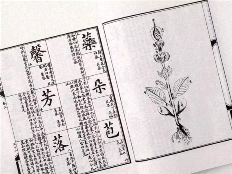 小时候读这样的启蒙读物，长大了都能上《中国诗词大会》