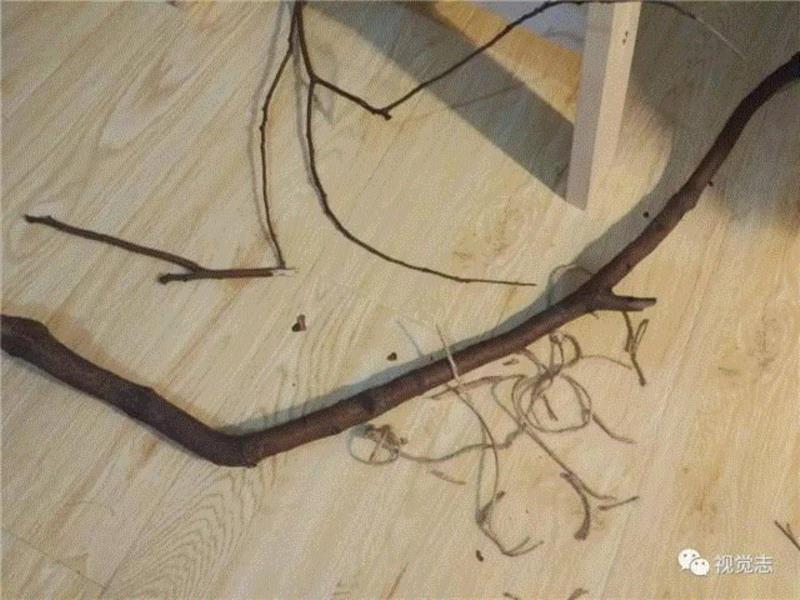 乾隆后宫佳丽三千，原来这位风流帝王后妃们的“证件照”长这样！