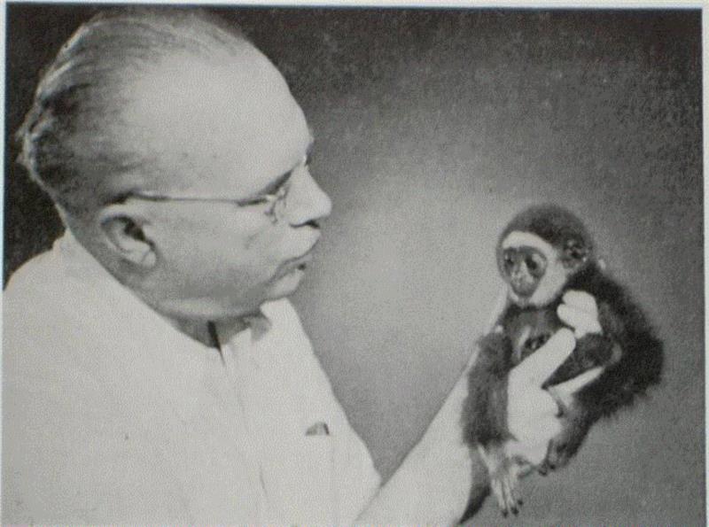 通晓15国语言,一手打造出“神探狄仁杰”,这个老外写的书法让国人都自叹不如……