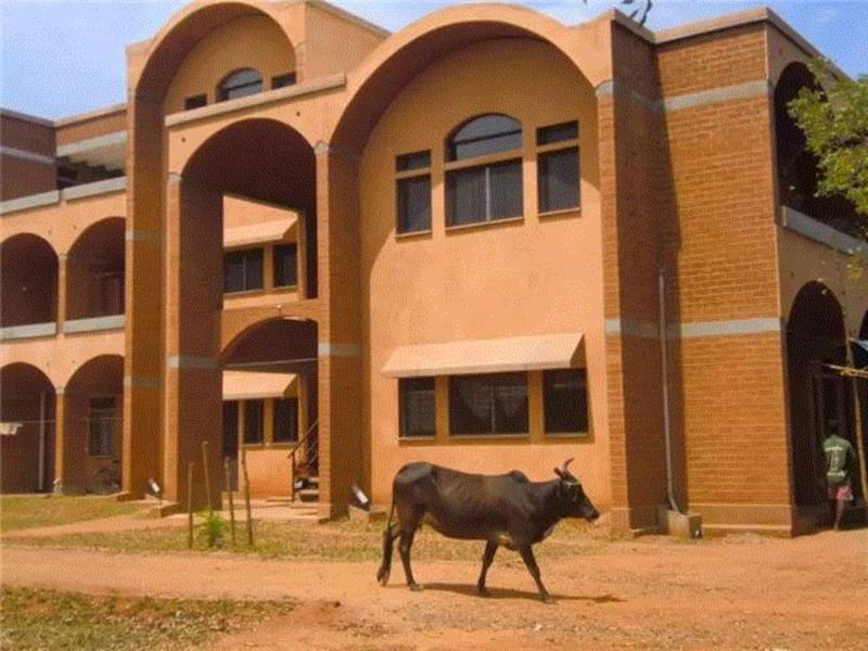 难以置信的曙光村（Auroville）乌托邦建筑