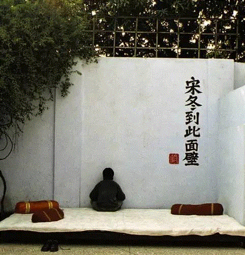 宋冬最大规模个展明日开幕 晚7点外滩美术馆一起“吃城市”