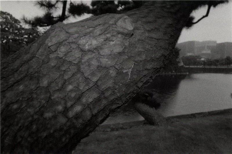 亦安画廊 | 须田一政