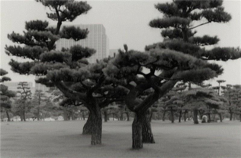 亦安画廊 | 须田一政