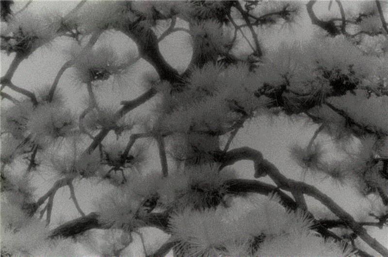 亦安画廊 | 须田一政