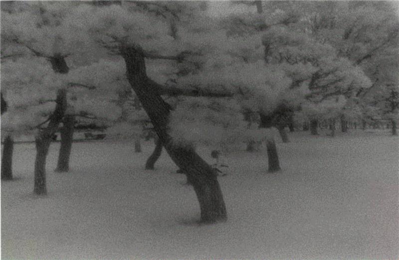 亦安画廊 | 须田一政