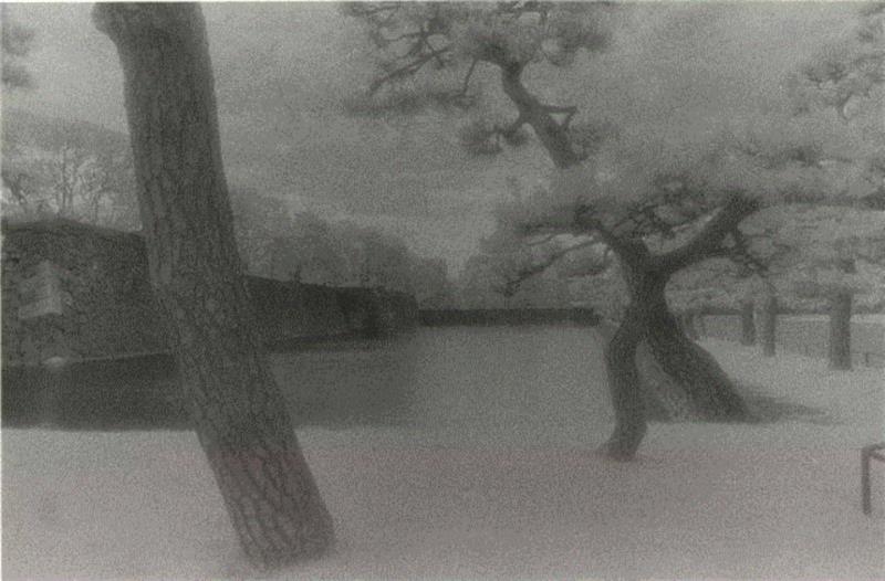 亦安画廊 | 须田一政