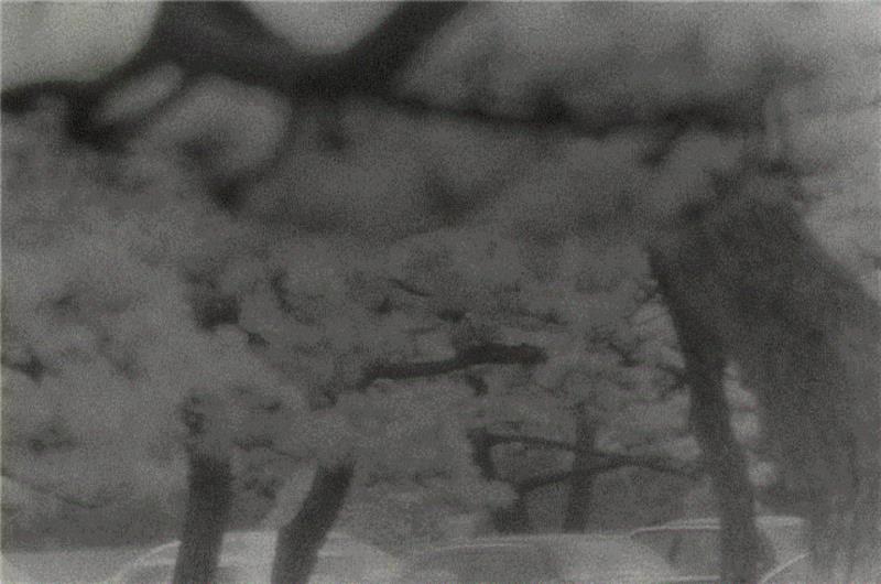 亦安画廊 | 须田一政